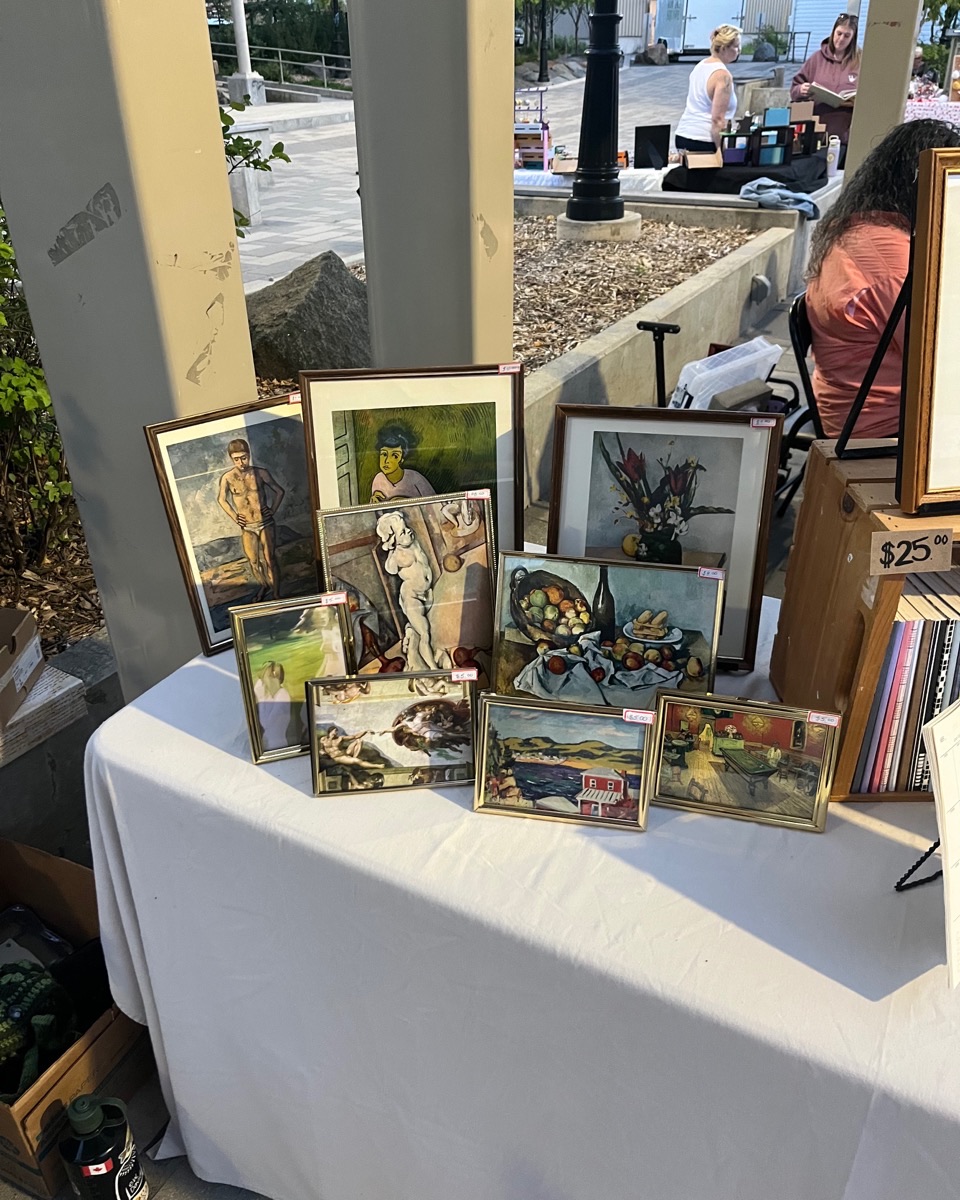 Framed vintage art prints and botanical sketches